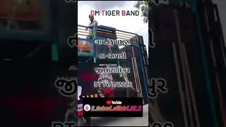 DM TIGER BAND
