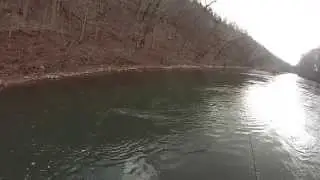 Huge Largemouth Slams Top Water Zara Spook- James River - Monster River Bass