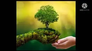 Nature story in Tamil