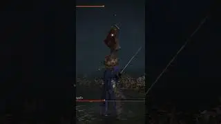Waterfowl Dance perfect parry, deflecting hardtear