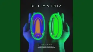 B1 matrix (feat. Rlervine, p.k :)