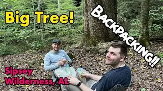 Backpacking the Big Tree, Bunyan Hill Loop in the Sipsey Wilderness, Alabama