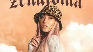 Aless ft. MOJA REČ - Nechaj To Pl&aacute;vať (ŽENATOM&Aacute;)