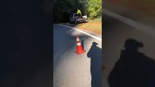 Marios tree service