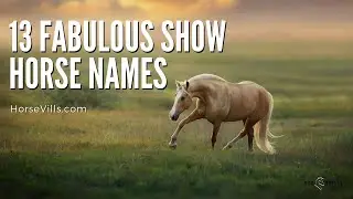 13 Fabulous Horse Show Names