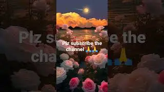 #view #rose #flowera #water