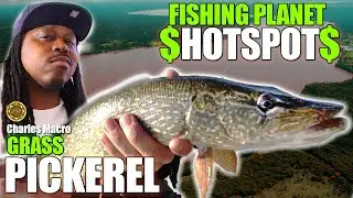 BEST HOTSPOT | GRASS PICKEREL | LONESTATR LAKE | HOW TO WIN MAKE BIG MONEY XP
