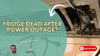 Fridge Dead After Power Outage? Fix It in 10 Minutes!