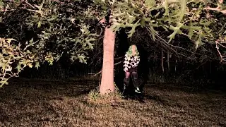 The Water Dogs- Meet Me Down the Rabbit Hole (Official Music Video)