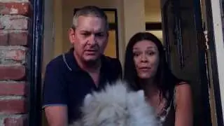 Evil Stalker Cat
