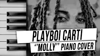 Playboi Carti - Molly (piano cover by LOWPO) No Stylist