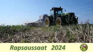 Rapsaussaat 2024