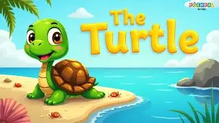 Meet the Timeless Turtle | Fun and Educational Poem for Kids | Nursery rhymes for kids