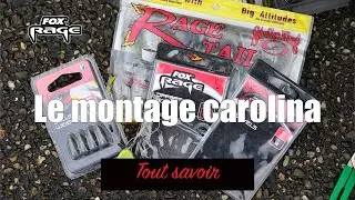 Tout savoir sur le montage carolina💥