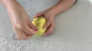 Apple (Performance Art, 2020)