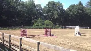 Georgia's Horse Show