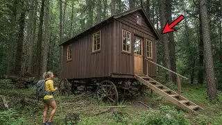 Lost in the Forest, She Discovered an Old Wagon Cabin Holding a Secret for Over 100 Years