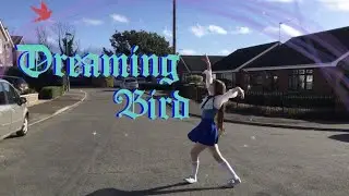 Aikatsu Stars - Dreaming Bird Dance Cover (アイカツスターズ) | Peiji Angel