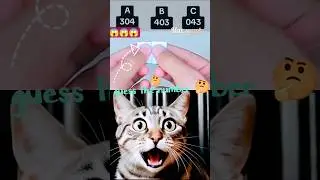 !👍only legend 😎!#shortfeed #shorts #cat #comedyvideos #viralvideo #trending #ytshorts #maxspark-v6w