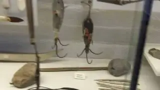 amundsen2.MOV