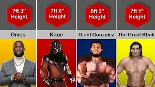 WWE Wrestlers Height and weight