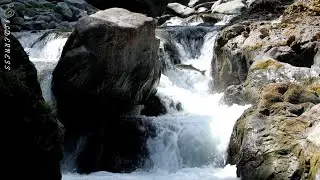 Salmon Cascades | Sol Duc River