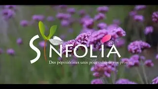 Les Pépinières Synfolia - Un regroupement de 5 pépinières françaises
