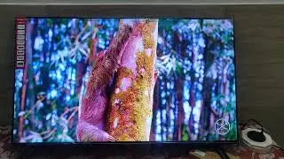 COMPAQ HUEQ X 4k 50inch CQV50AX1UD