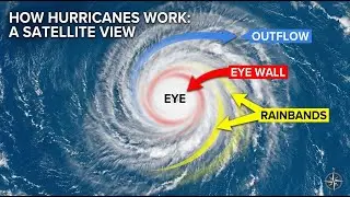 How Hurricanes Work: Formation, Anatomy, and Impact