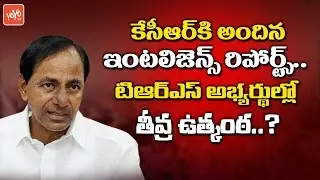 Intelligence Reports Received by CM KCR Over TRS MLA Candidates Latest Survey | Elections | YOYO TV
