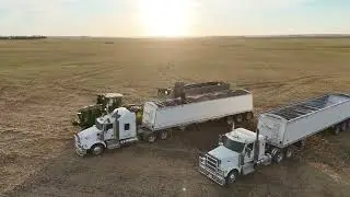 John Deere 9RX590 Pulling Brent Grain Cart Unloading on Semi Trailer Harvest 2025