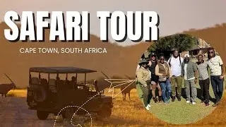 SafarI Tour in Cape Town, South Africa