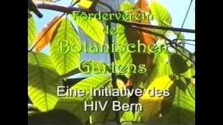 Archiv NATURTON - 2000 BOGA Bern