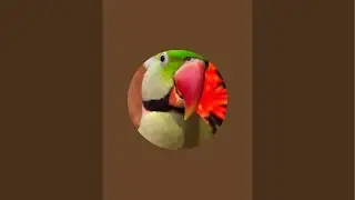 Talkative parrot 777 is live