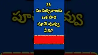GK in Telugu || GK Quiz || GK Bits || Facts || Interesting Questions || Facts in Telugu || Quiz