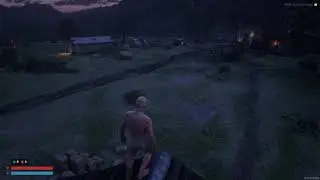 HUD PVP RedM Server | Health & Stamina Bar
