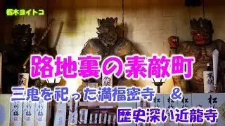 栃木ヨイトコ♪『栃木市の素敵路地☆近龍寺＆三鬼のお寺、満福密寺』  今日の梅酒/お酒苦手な人におすすめ完熟梅酒