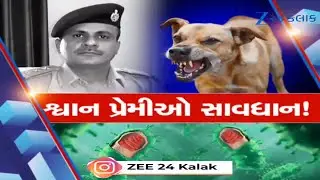 Ahmedabad Stray Dog Attack: Official Dies in Shocking Incident, Dog Lovers Beware