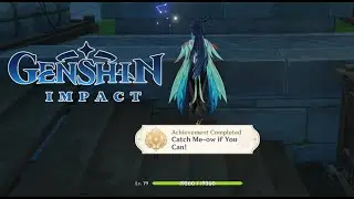 Catch Me-ow if you can, Daily Quest Hidden Achievement - Genshin Impact