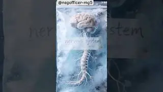 nervous system function #shortsfeed #medicalprocedure #viral #nervoussystem #biology