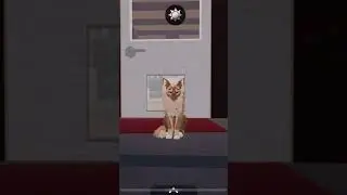 EVERYBODY DO THE FLOHP! 😍😝 #sillybilly #wcue #warriorcats #dancing