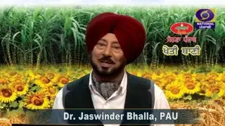 JASWINDER BHALLA MARKFED KHETI BANI EPISODE 12-03-16