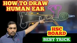 #boards Easy way to Understand and Draw Structure of Human Ear