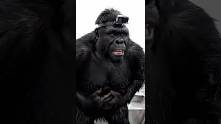 Yeti and  Bigfoot go fishing but Yeti has a problem. #fishing #bigfoot #bigfootvlog