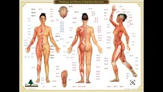 Bio Energy Massage.  Hands-on practices