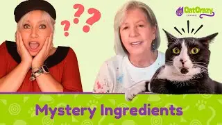 What's Really in Your Cat's Food Bowl? Expert Interview!