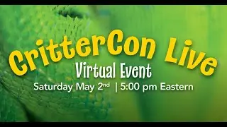 Snake Discovery, Roaming Reptiles, Crosstown Exotics, and Coal Black Exotics - CRITERCON LIVE
