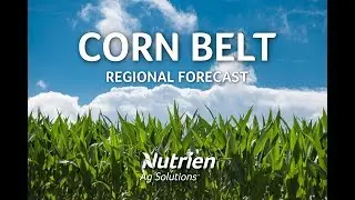 Corn Belt Regional Ag Forecast - August 2 2019