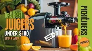 The 5 Best Juicers Under $100 Review In 2024
