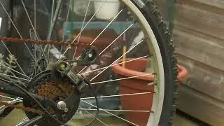 Spinning Wheel 1080p RAW